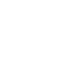 shop the new collection